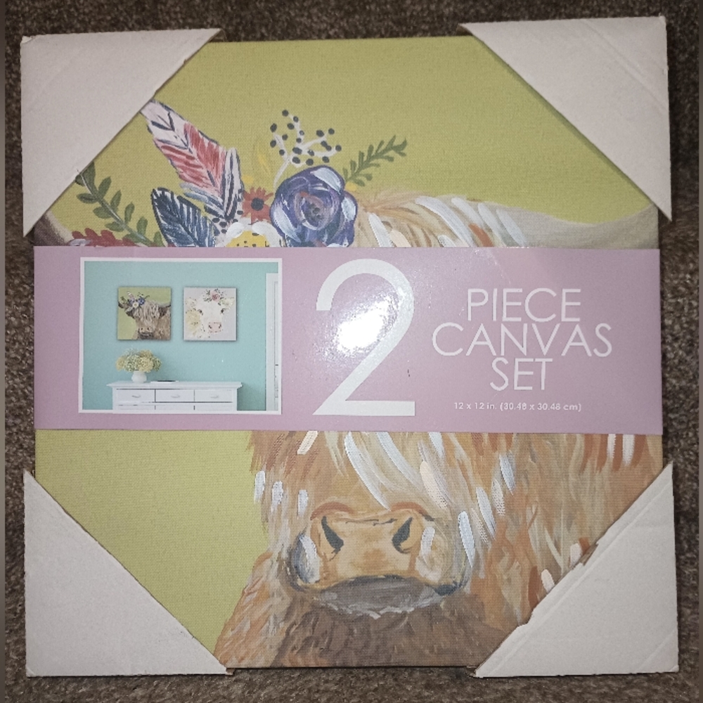 Brand New 2 Piece Canvas Set